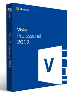 Microsoft Visio Professional 2019 Istruzione (EDU) 1 licenza e