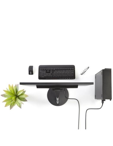 StarTech.com Cavo DisplayPort a DVI di 1,8 m - M M