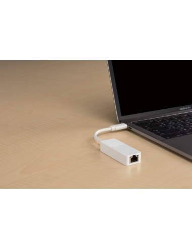 D-Link DUB-E130 scheda di rete e adattatore Ethernet 1000 Mbit s