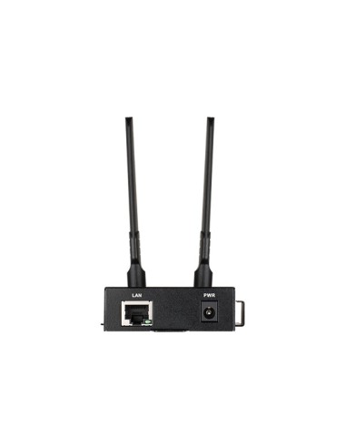 D-Link DWM-312 router cablato Nero