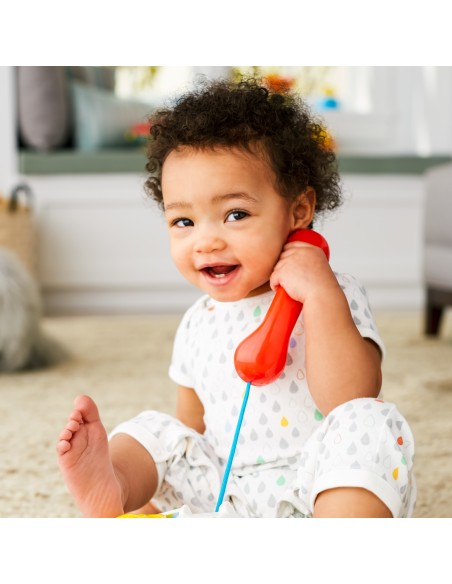 Fisher-Price FGW66 giocattolo trainabile