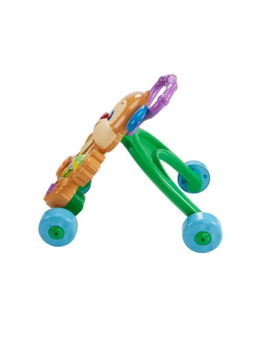 Fisher-Price Cagnolino Primi Passi
