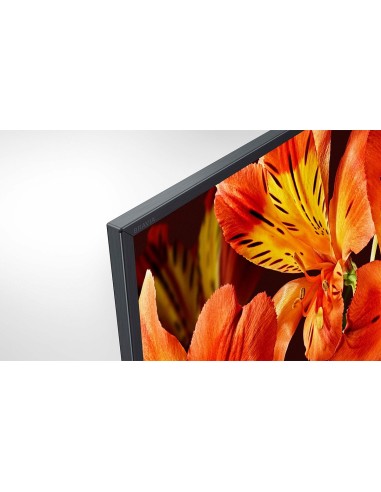 Sony FW-49BZ35F visualizzatore di messaggi Pannello piatto per segnaletica digitale 124,5 cm (49") LCD Wi-Fi 505 cd m² 4K Ultra
