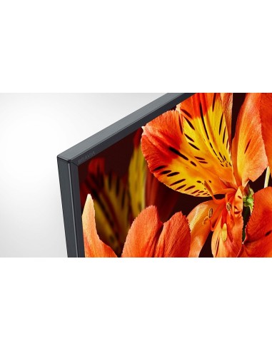 Sony FW-65BZ35F visualizzatore di messaggi Pannello piatto per segnaletica digitale 165,1 cm (65") LCD Wi-Fi 620 cd m² 4K Ultra