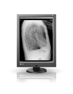 EIZO GX240 Monitor PC 54,1 cm (21.3") 1200 x 1600 Pixel LED Nero