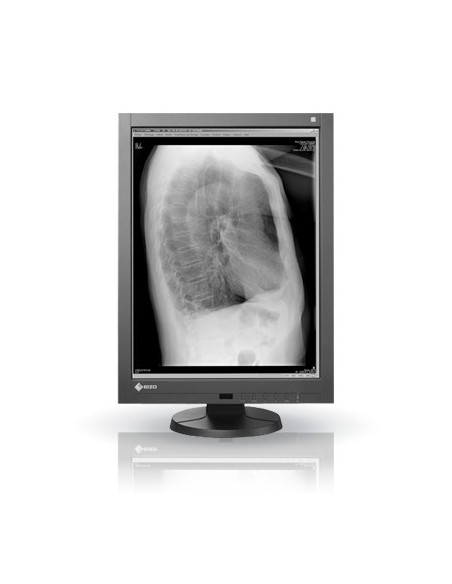 EIZO GX240 Monitor PC 54,1 cm (21.3") 1200 x 1600 Pixel LED Nero
