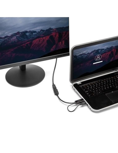 StarTech.com Adattatore   Convertitore HDMI a DP alimentato via USB - Ultra HD 4K