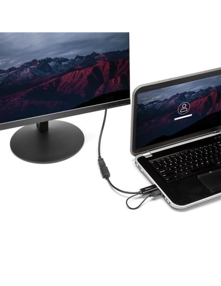 StarTech.com Adattatore   Convertitore HDMI a DP alimentato via USB - Ultra HD 4K