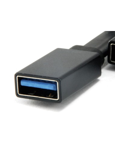 Conceptronic HUBBIES01B hub di interfaccia USB 3.2 Gen 2 (3.1 Gen 2) Type-C 5000 Mbit s Nero