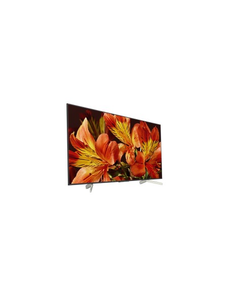 Sony KD43XF8596 109,2 cm (43") 4K Ultra HD Smart TV Wi-Fi Nero