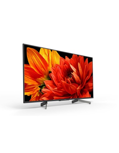 Sony KD-43XG83 | Android TV 43 pollici, Smart TV LED 4K HDR Ultra HD, con Voice Remote (Nero, modello 2019)