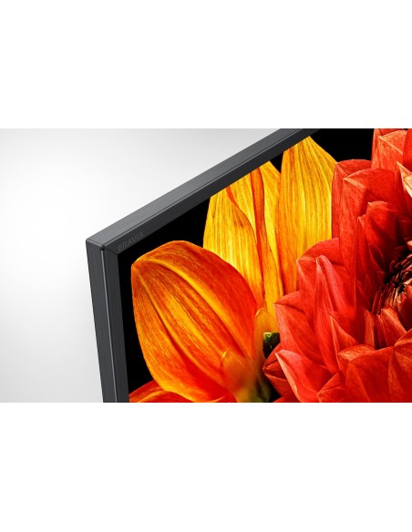 Sony KD-49XG83 | Android TV 49 pollici, Smart TV LED 4K HDR Ultra HD, con Voice Remote (Nero, modello 2019)
