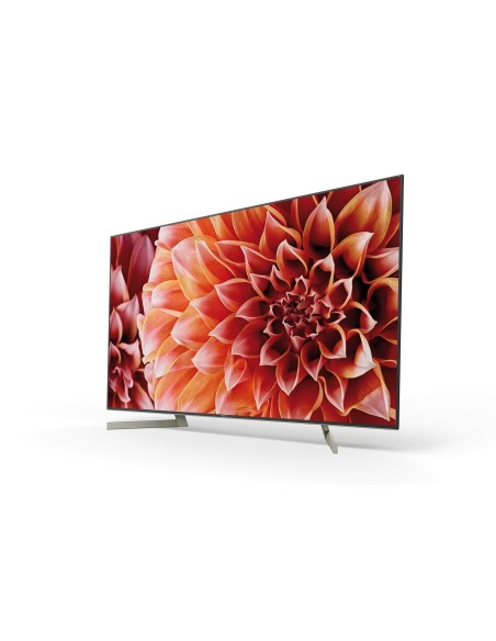 Sony KD65XF9005 65" Full LED 4K Ultra HD, HDR, Smart TV Wi-Fi Nero