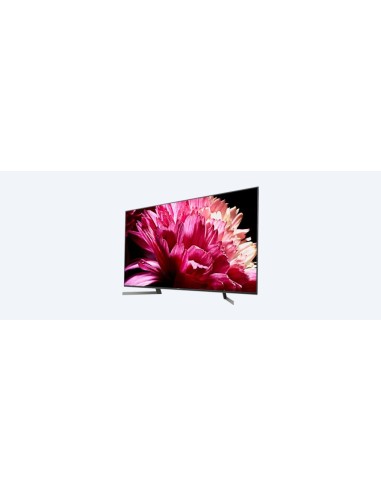 Sony KD-65XG9505 Android TV da 65 pollici, Smart TV Full Array LED 4K HDR Ultra HD con ricerca vocale Hands-free