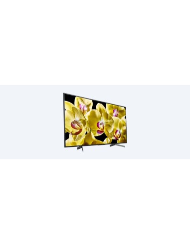 Sony KD-75XG8096 Android TV da 75 pollici, Smart TV LED 4K HDR Ultra HD con Voice Remote