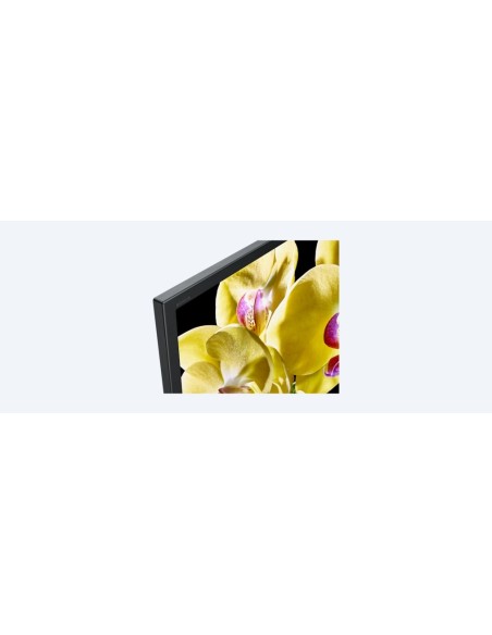 Sony KD-75XG8096 Android TV da 75 pollici, Smart TV LED 4K HDR Ultra HD con Voice Remote