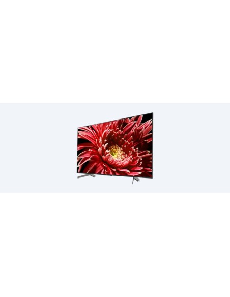 Sony KD-75XG8596 Andorid TV da 75 pollici, Smart TV LED 4K HDR Ultra HD con Voice Remote
