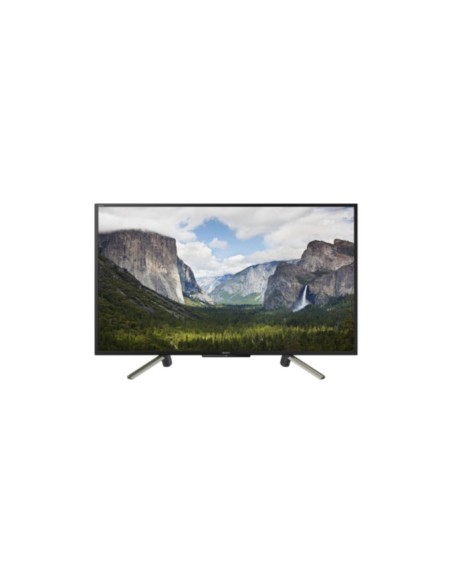 Sony KDL-50WF665 127 cm (50") Full HD Smart TV Wi-Fi Nero, Argento
