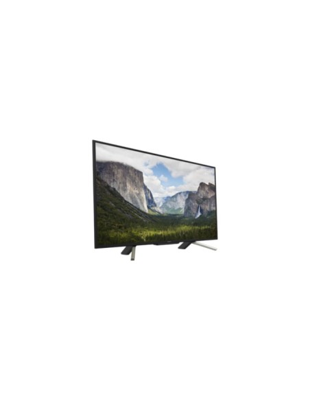 Sony KDL-50WF665 127 cm (50") Full HD Smart TV Wi-Fi Nero, Argento