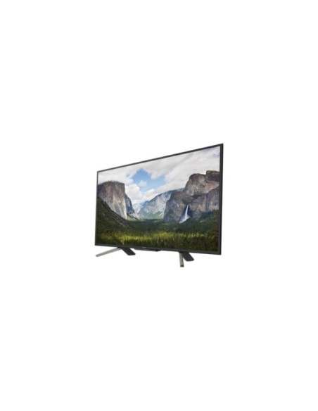 Sony KDL-50WF665 127 cm (50") Full HD Smart TV Wi-Fi Nero, Argento