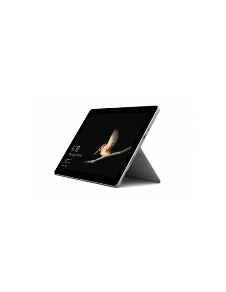 Microsoft Surface Go 4G 256 GB 25,4 cm (10") Intel® Pentium® 8 GB Wi-Fi 5 (802.11ac) Windows 10 Pro Argento