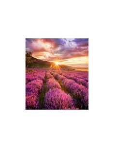 Samsung LH025IFHSAS EN espositore video da parete LED Interno