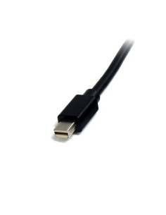 StarTech.com Cavo Mini DisplayPort 1.2 - DisplayPort 4k da 2m M M 2