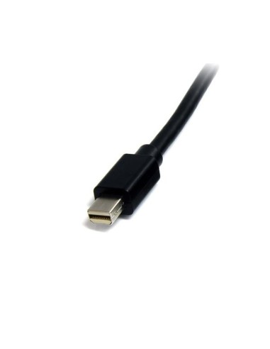 StarTech.com Cavo Mini DisplayPort 1.2 - DisplayPort 4k da 2m M M