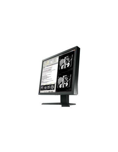 EIZO RadiForce MX194 48,3 cm (19") 1280 x 1024 Pixel LCD Nero