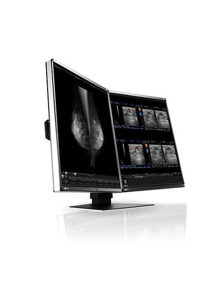 EIZO RadiForce RX560 Monitor PC 54,1 cm (21.3") 2048 x 2560 Pixel LCD Nero