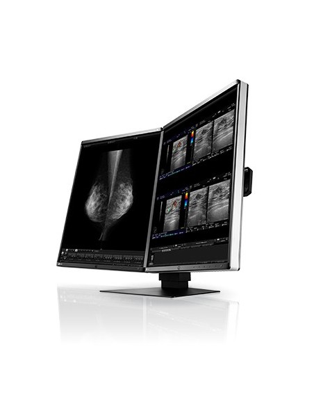 EIZO RadiForce RX560 Monitor PC 54,1 cm (21.3") 2048 x 2560 Pixel LCD Nero