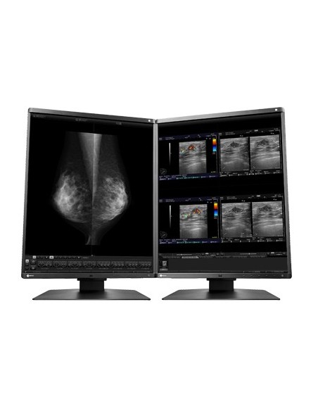 EIZO RadiForce RX560 Monitor PC 54,1 cm (21.3") 2048 x 2560 Pixel LCD Nero