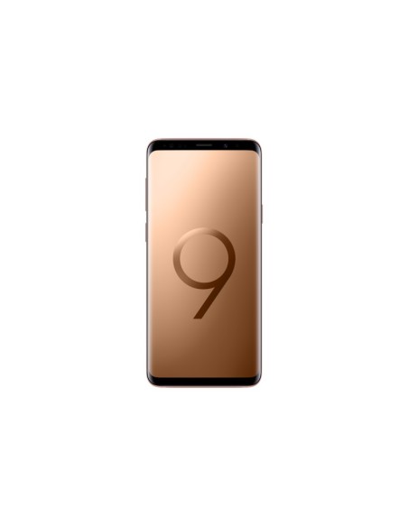 Samsung Galaxy S9+ SM-G965F DS 15,8 cm (6.2") Dual SIM ibrida Android 8.0 4G USB tipo-C 6 GB 256 GB 3500 mAh Oro