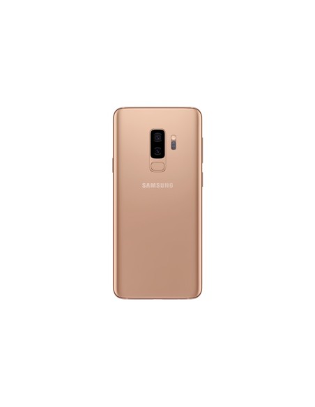 Samsung Galaxy S9+ SM-G965F DS 15,8 cm (6.2") Dual SIM ibrida Android 8.0 4G USB tipo-C 6 GB 256 GB 3500 mAh Oro