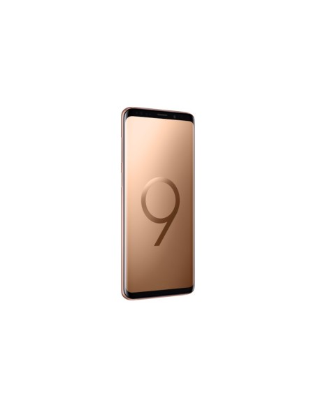 Samsung Galaxy S9+ SM-G965F DS 15,8 cm (6.2") Dual SIM ibrida Android 8.0 4G USB tipo-C 6 GB 256 GB 3500 mAh Oro