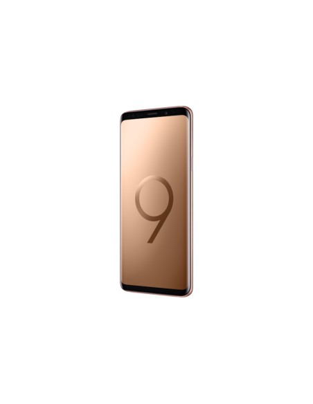 Samsung Galaxy S9+ SM-G965F DS 15,8 cm (6.2") Dual SIM ibrida Android 8.0 4G USB tipo-C 6 GB 256 GB 3500 mAh Oro