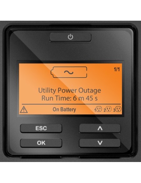 APC SRT1000XLI gruppo di continuità (UPS) Doppia conversione (online) 1 kVA 1000 W 12 presa(e) AC