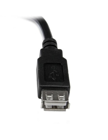 StarTech.com Cavo adattatore di prolunga USB 2.0 da 15 cm A ad A - M F