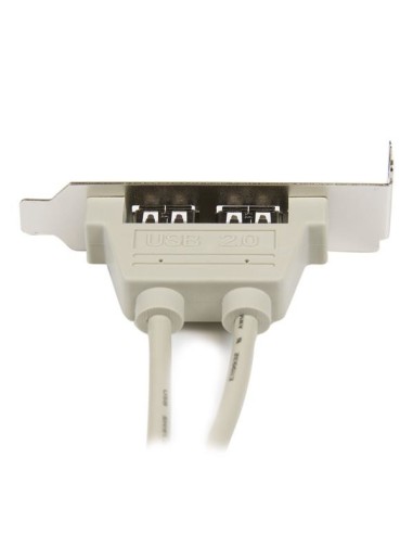 StarTech.com Adattatore piastra slot basso profilo 2 porte USB A femmina