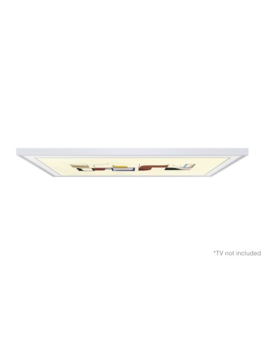 Samsung VG-SCFN49WM accessorio TV