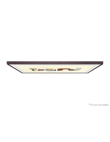 Samsung Cornice The Frame 2019 49ˮ personalizzabile VG-SCFN49
