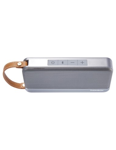 Thomson WS02GM altoparlante portatile Altoparlante portatile stereo Grigio 12 W