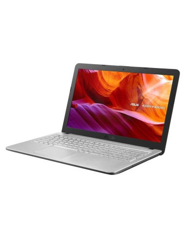 ASUS X543UA-GQ2577 Computer portatile 39,6 cm (15.6") Intel® Core™ i3 4 GB 1000 GB HDD Wi-Fi 4 (802.11n) Endless OS Argento