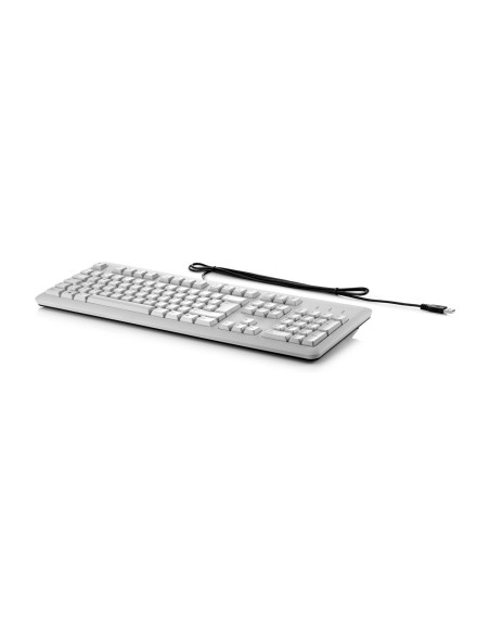 HP Tastiera sottile USB Business (grigio)