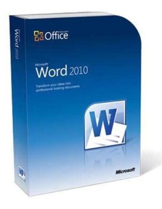 Microsoft Word 2010, IT