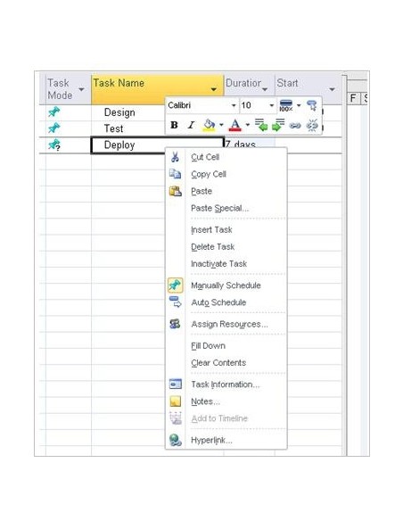 Microsoft Project 2010 Standard, OLP-NL