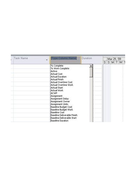 Microsoft Project 2010 Standard, OLP-NL
