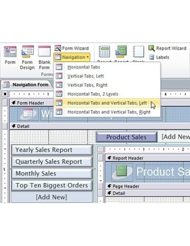 Microsoft Access 2010, EN