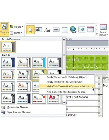 Microsoft Access 2010, IT