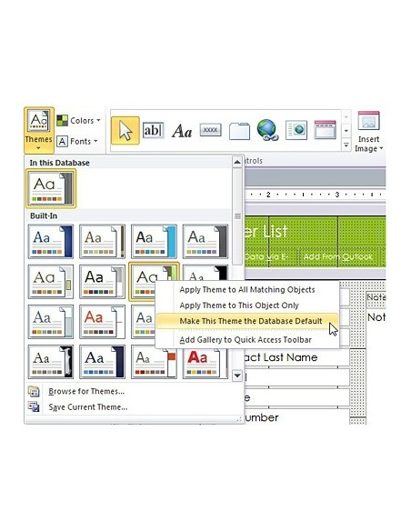 Microsoft Access 2010, IT